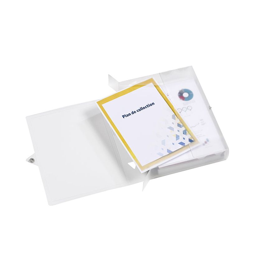 3135251142401-Viquel Propyglass - Boîte de classement plastique - dos 60 mm - incolore--3