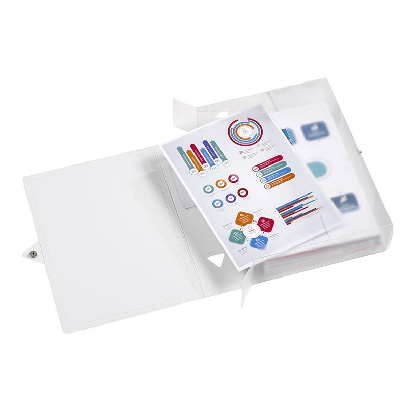 3135251143408-Viquel Propyglass - Boîte de classement plastique - dos 80 mm - incolore-P_79435112_4-3