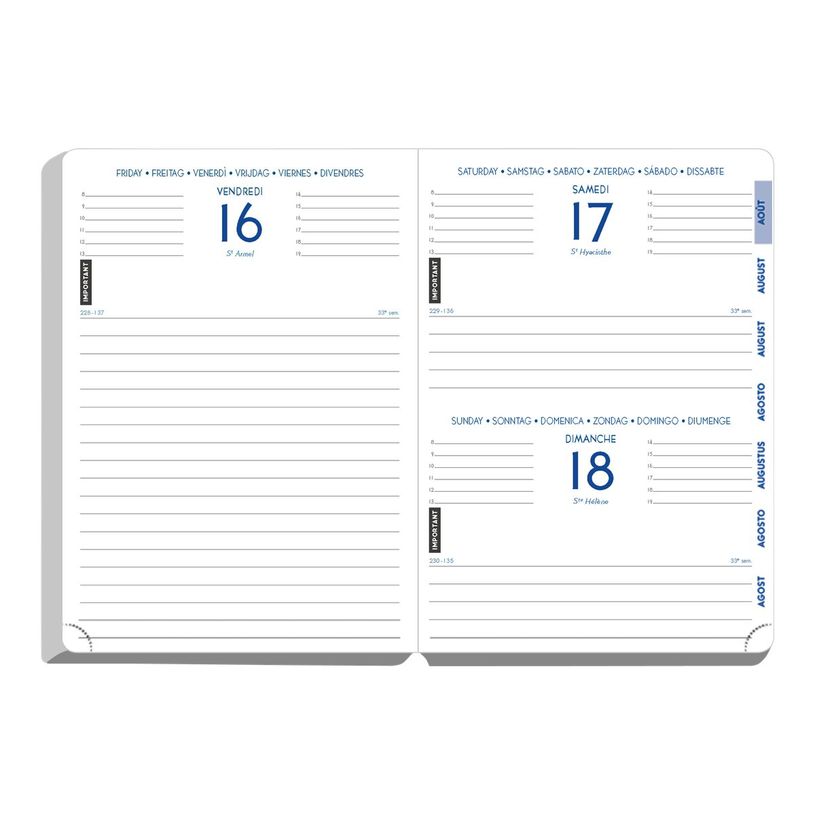 3660942164054-Agenda Safari - 1 jour par page - 12,5 x 17,5 cm - disponible dans différentes couleurs --P_79435536_1-11