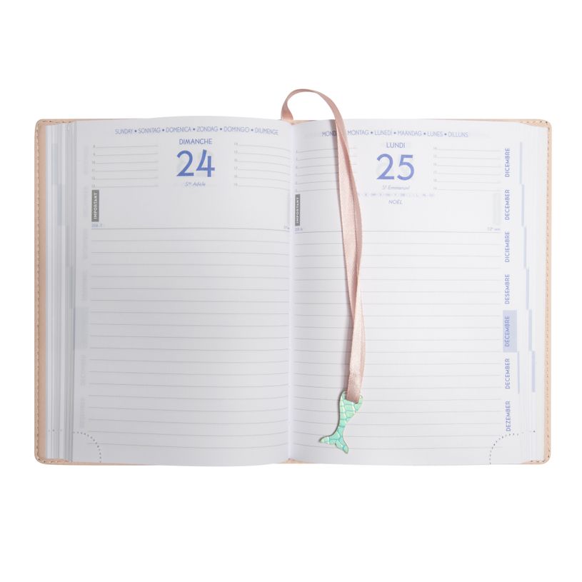 3660942064095-Agenda Ariel - 1 jour par page - 12 x 17 cm -  2 modèles disponibles - Exacompta-P_79435539_3-2
