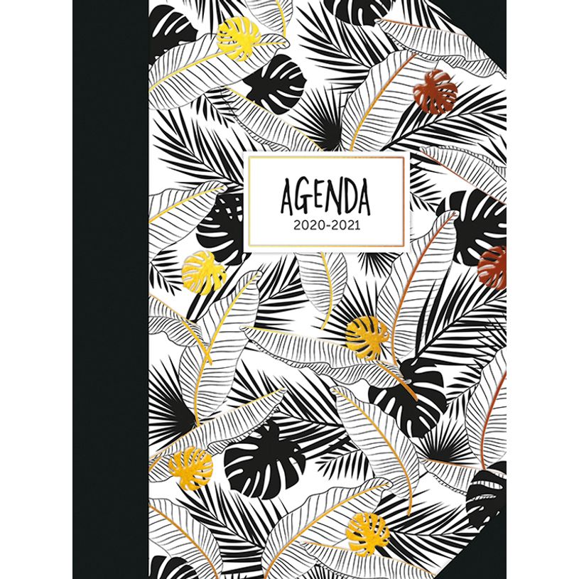3147280101397-Agenda Lecas Millenium - 1 Semaine sur 2 pages - 10 x 15 cm - différents modèles disponib-P_79435659_2-1