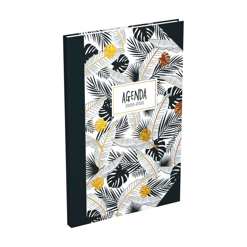 3147280101397-Agenda Lecas Millenium - 1 Semaine sur 2 pages - 10 x 15 cm - différents modèles disponib-P_79435659_7-6