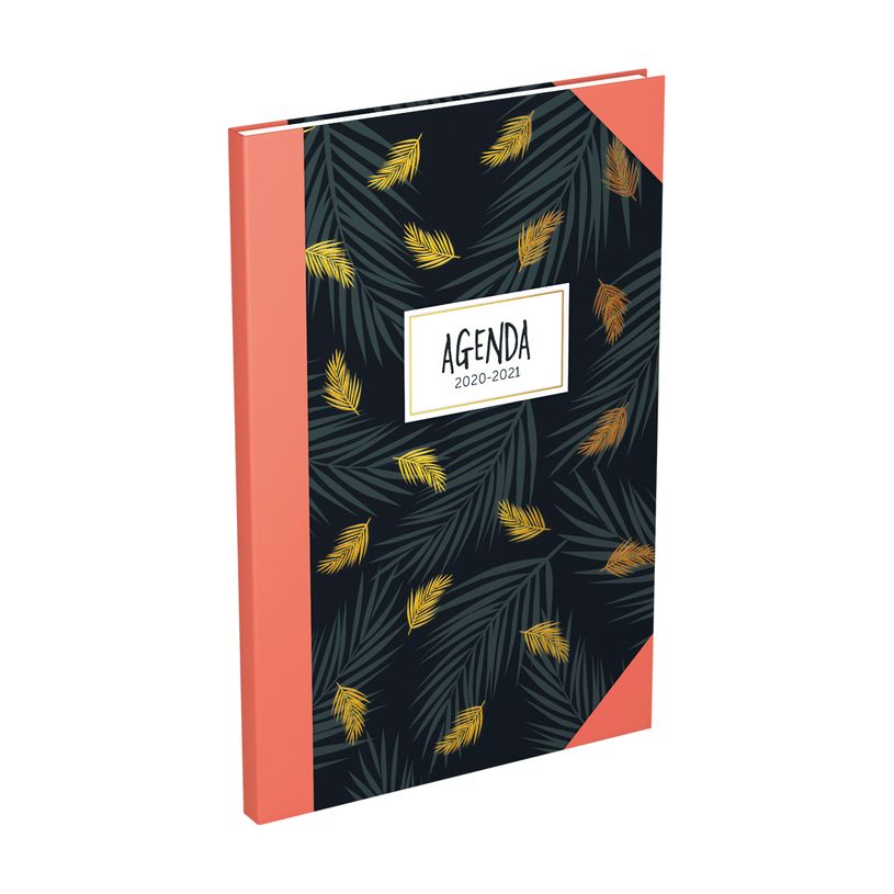 3147280101397-Agenda Lecas Millenium - 1 Semaine sur 2 pages - 10 x 15 cm - différents modèles disponib-P_79435659_8-7