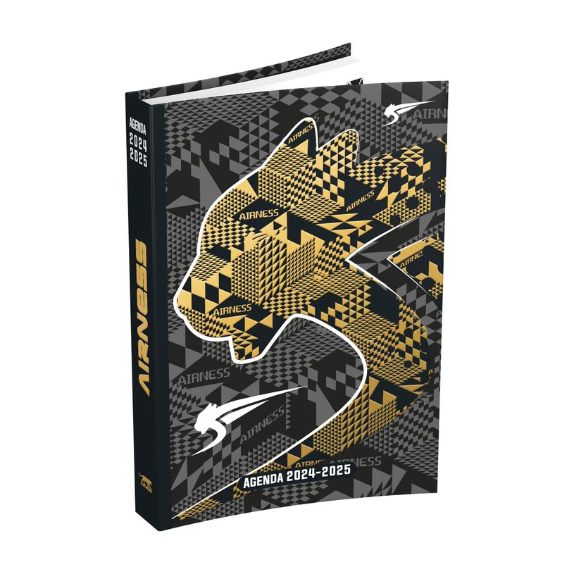3147280129780-Agenda souple Airness Alaric - 1 jour par page - 12 x 17 cm - noir et or - Hamelin-P_79435675_1-0