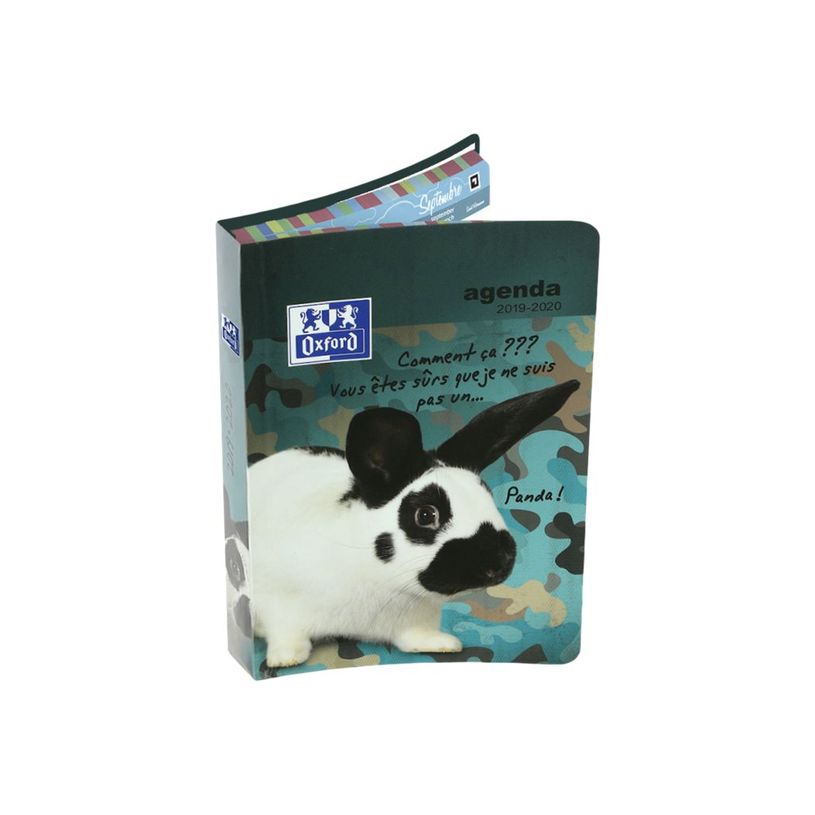 3147281946102-Agenda Oxford Funny Pets - 12x18cm - 6 décors - Hamelin-P_79435693_3-2