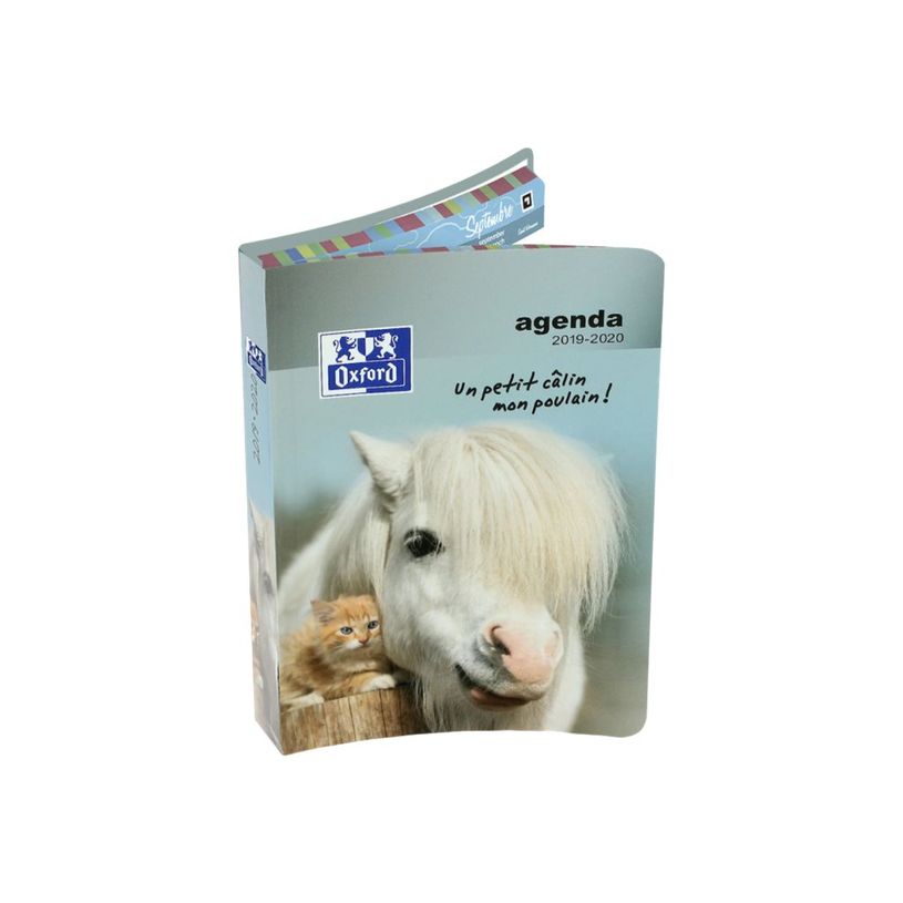 3147281946102-Agenda Oxford Funny Pets - 12x18cm - 6 décors - Hamelin-P_79435693_4-8