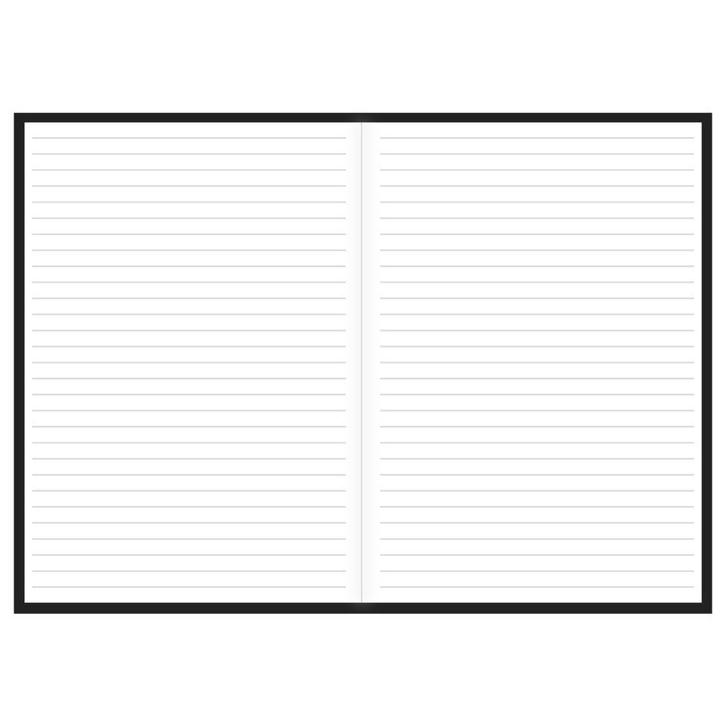 3371010424344-Quo Vadis - Carnet de notes ligné Shaman - différents modèles disponibles-P_79435760_3-2