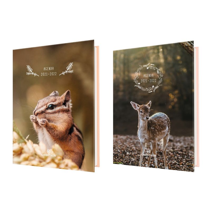 3664447048048-Agenda Faon ou Ecureuil - 1 jour par page - 12,5 x 17,5 cm - Oberthur-P_79436027_1-0