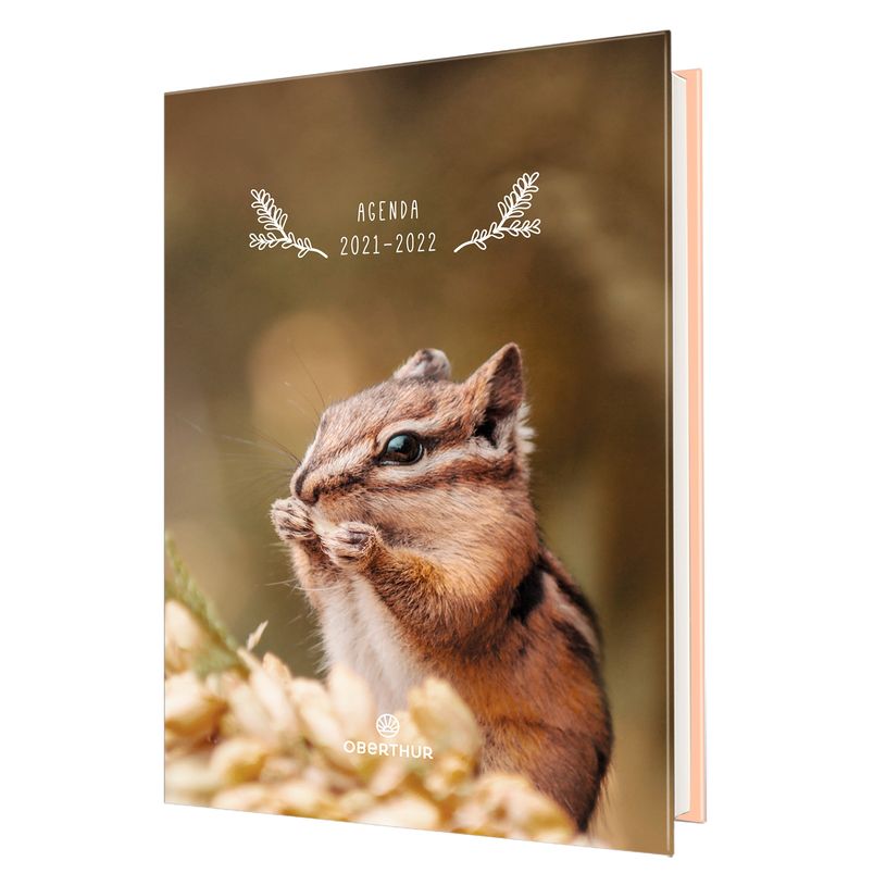 3664447048048-Agenda Faon ou Ecureuil - 1 jour par page - 12,5 x 17,5 cm - Oberthur-P_79436027_2-1