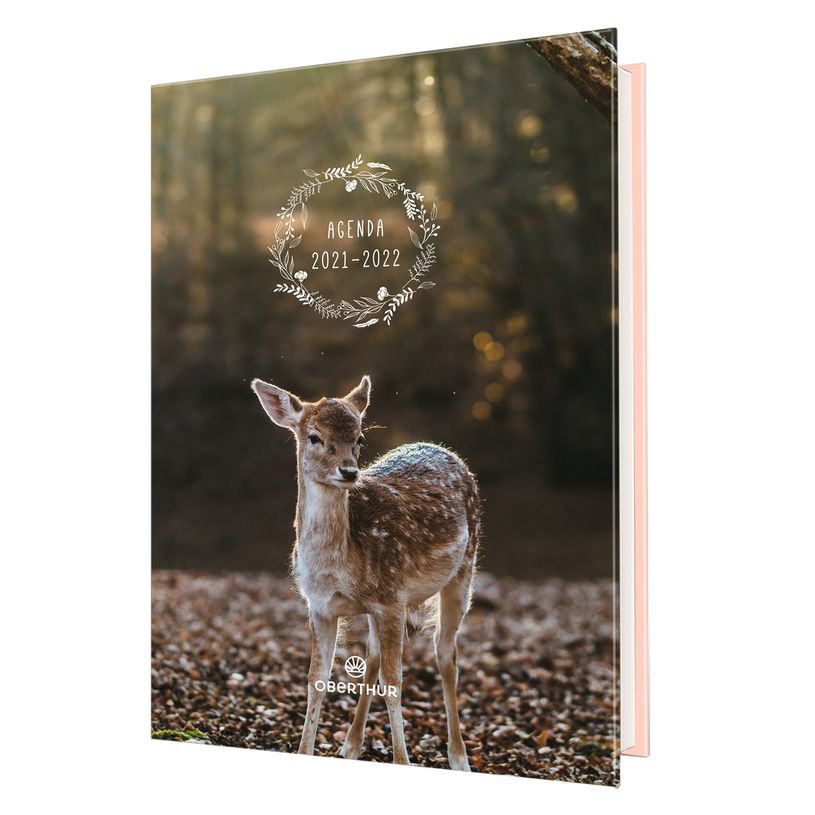 3664447048048-Agenda Faon ou Ecureuil - 1 jour par page - 12,5 x 17,5 cm - Oberthur-P_79436027_3-2