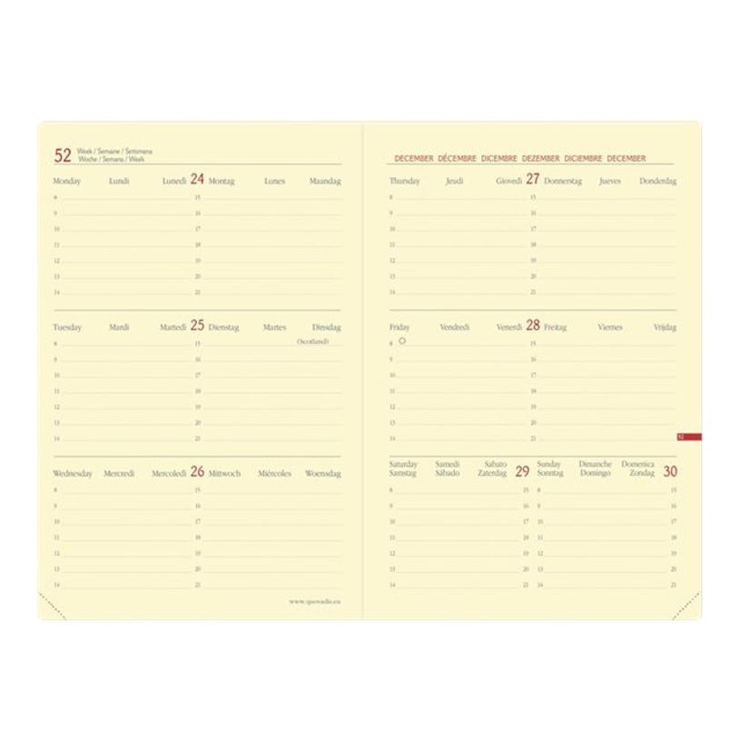 3371010426157-Quo Vadis - Agenda à élastique Everest Horizontal 16 mois - 1 semaine sur 2 pages - 16 x -P_79436085_3-2
