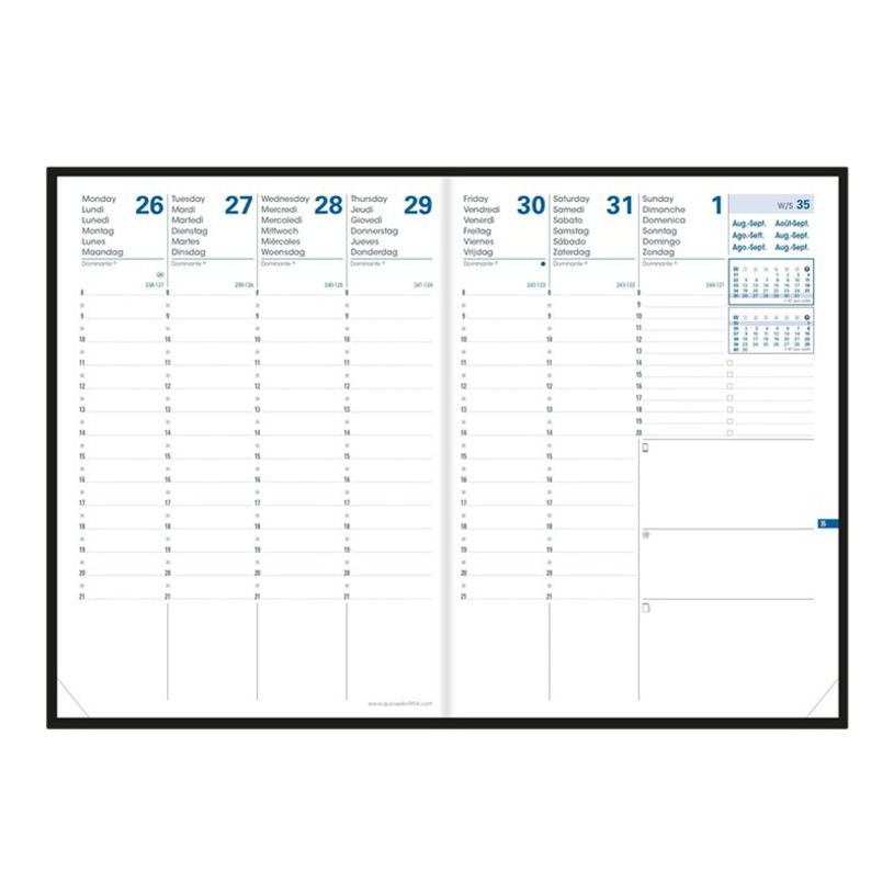 3371010426294-Quo Vadis - Agenda 16 mois - 2026-2027 - Président SD - Semainier Planning - Multilingue - Everest - Bleu - 16 mois de sept-P_79436099_2-2