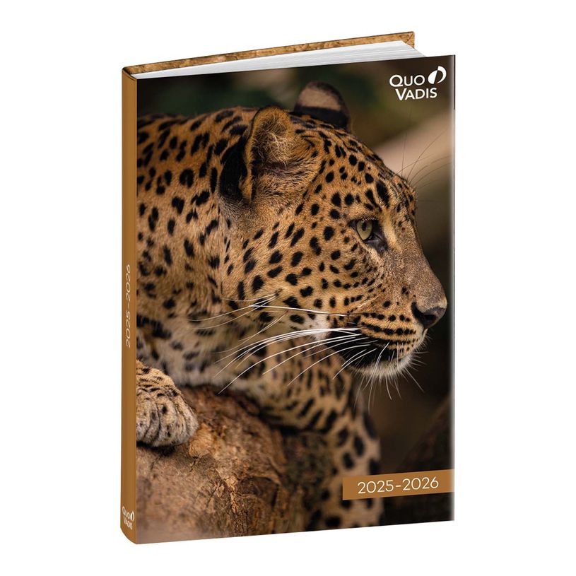 3371010196685-Agenda Mes Potes à pattes - 1 jour par page - 12 x 17 cm - différents modèles disponible-P_79436797_2-1