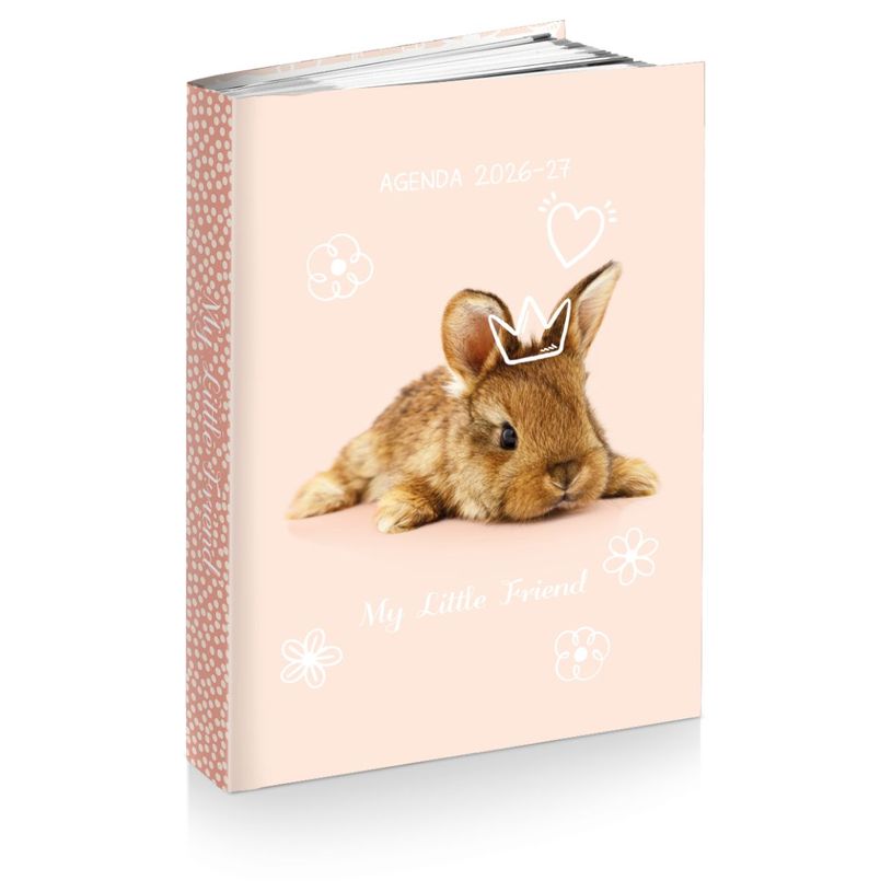 3661507015064-Agenda rembordé My Little Friends - 1 jour par page - 12x17 cm - 3 décors assortis - Kid'Abord--2