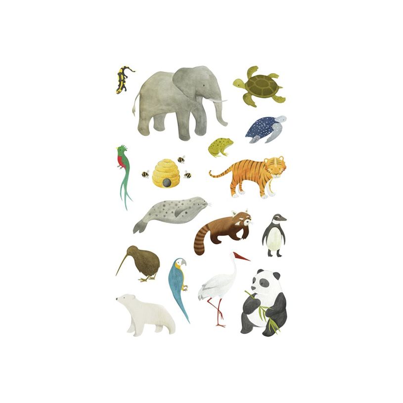 3609510910211-Maildor - 4 feuilles gommettes animaux en voie de disparition-P_79436865_2-1