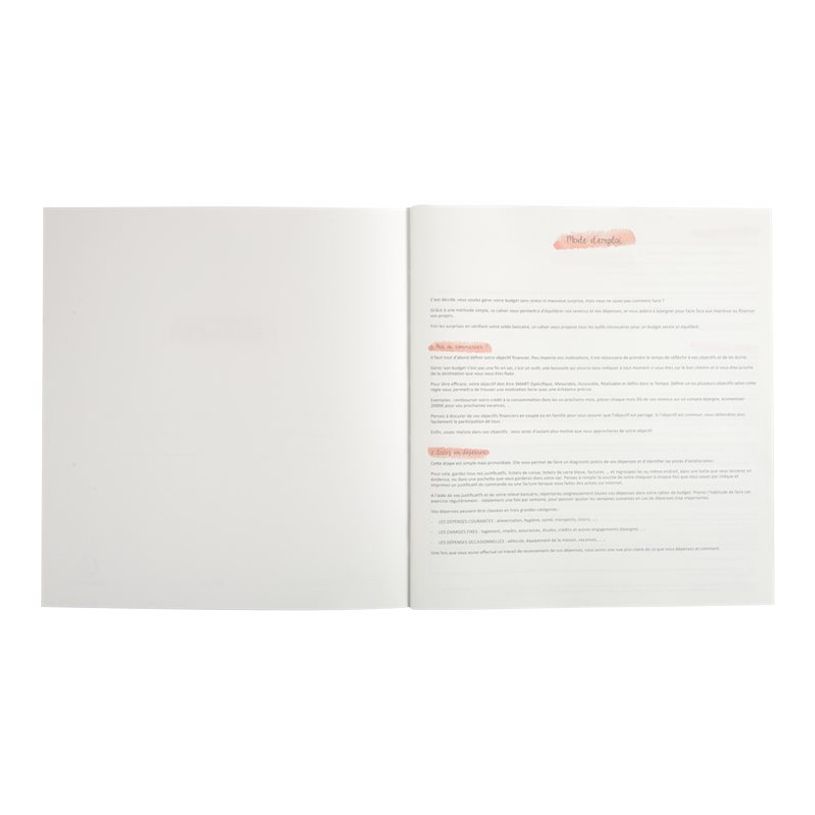 3130630000747-Exacompta - Carnet de budget 27 x 25 cm-P_79436971_2-2