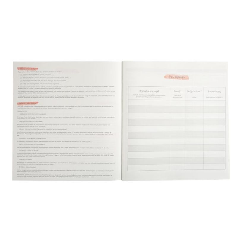 3130630000747-Exacompta - Carnet de budget 27 x 25 cm-P_79436971_3-3
