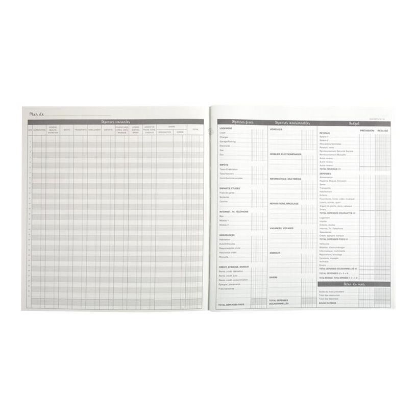 3130630000747-Exacompta - Carnet de budget 27 x 25 cm-P_79436971_4-4