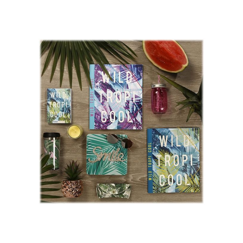 3135257167965-Viquel Tropicool - agenda-P_79437329_1-3