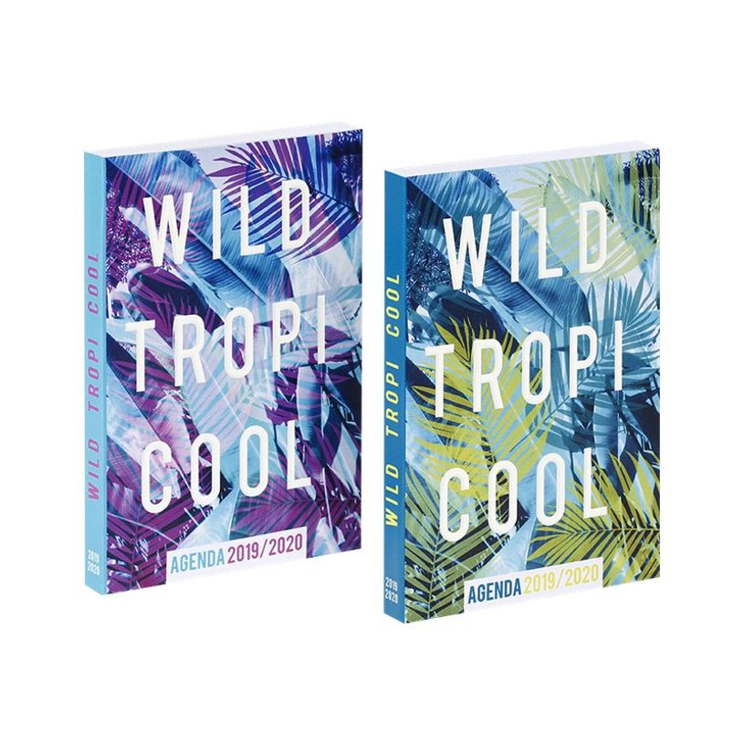 3135257167965-Viquel Tropicool - agenda-P_79437329_5-2