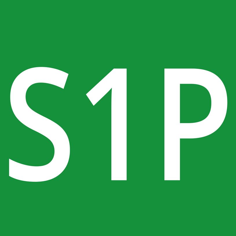 3371820231750-Chaussures de sécurité hautes grises H/F S1P VERCOR 43-P_79437417_7-6