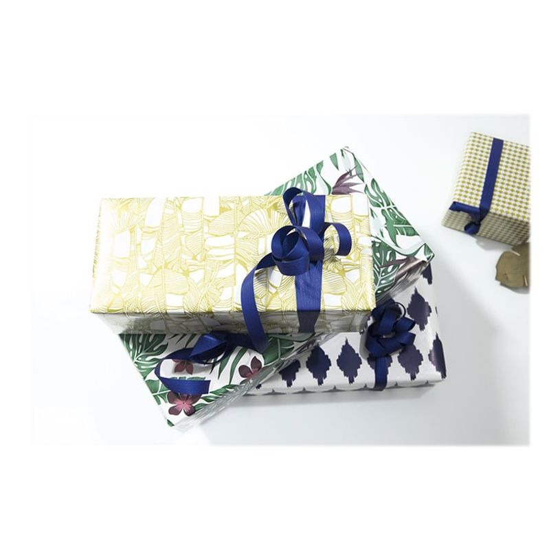 3329682019696-Clairefontaine Excellia - Papier cadeau - 70 cm x 2 m - 80 g/m² - différents motifs dispo-P_79437828_9-8