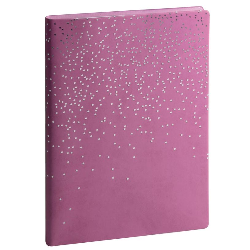 3660942065603-Agenda de bureau Amélie Horizons 20 - 1 semaine sur 2 pages - 15 x 21 cm - disponible dans différentes cou--1