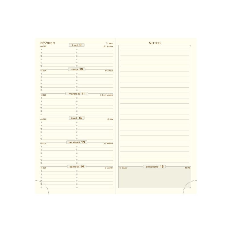 3660942065528-Agenda de poche Amélie Espace 17 - 1 semaine sur 2 pages - 9 x 17,5 cm - disponible dans diff-P_79438235_1-6