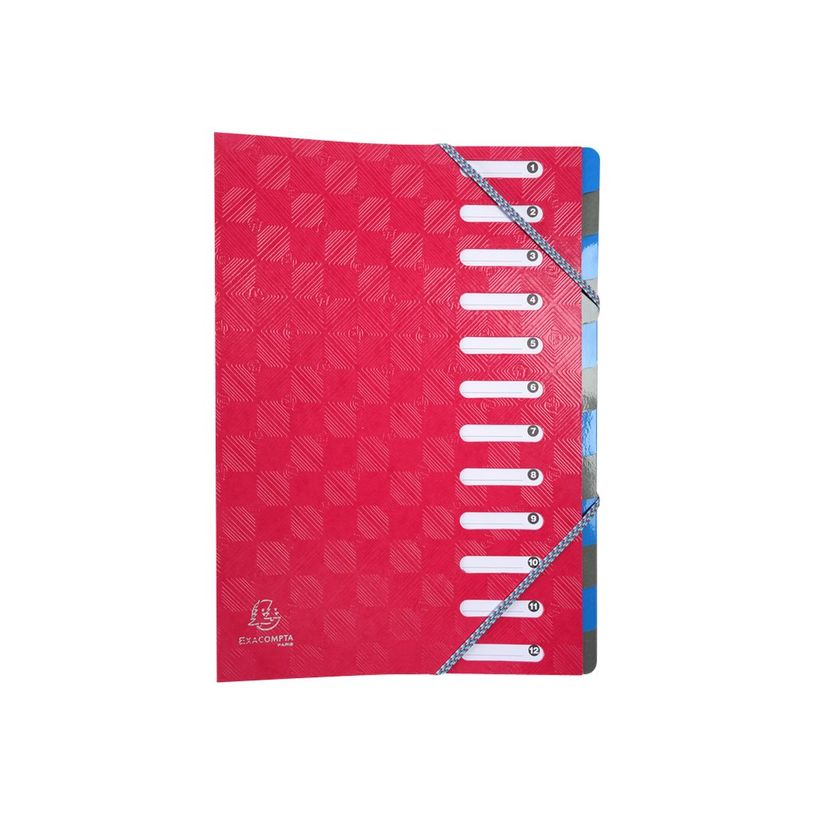 3130630562207-1928 by Exacompta - Trieur 12 positions - disponible dans différentes couleurs-P_79438386_5-2