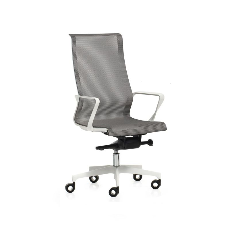 2012349447116-Fauteuil de bureau X-LIGHT - accoudoirs fixes - dossier haut - gris base blanche-P_79439440_2-1