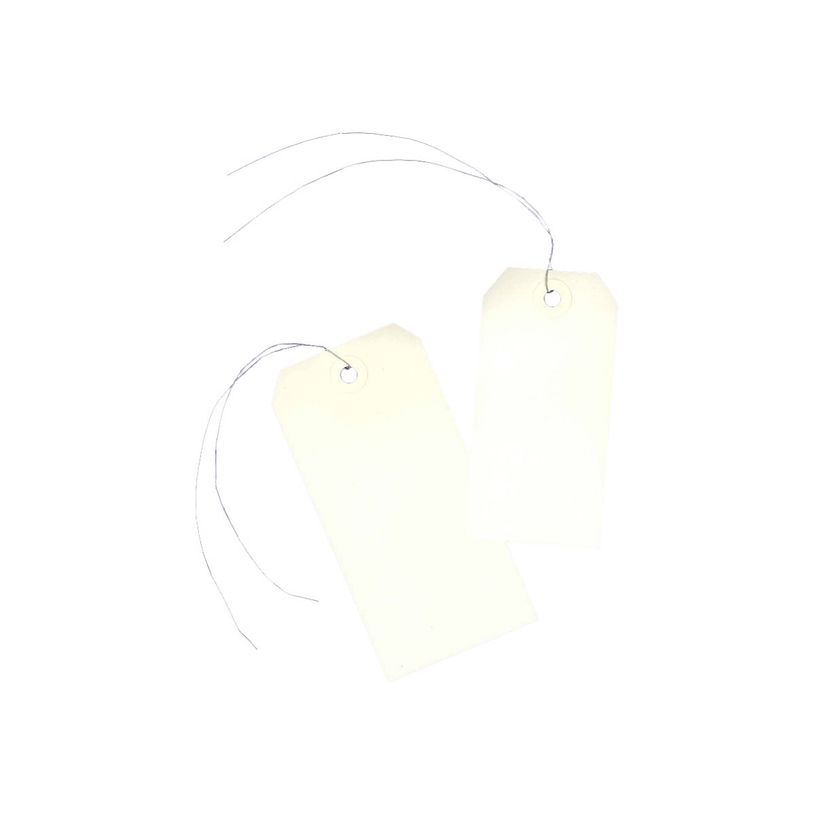 3266555754103-Avery - 1000 Étiquette américaines à œillets avec fil de fer - 120 x 60 mm - réf 75-41-P_79439698_1-0