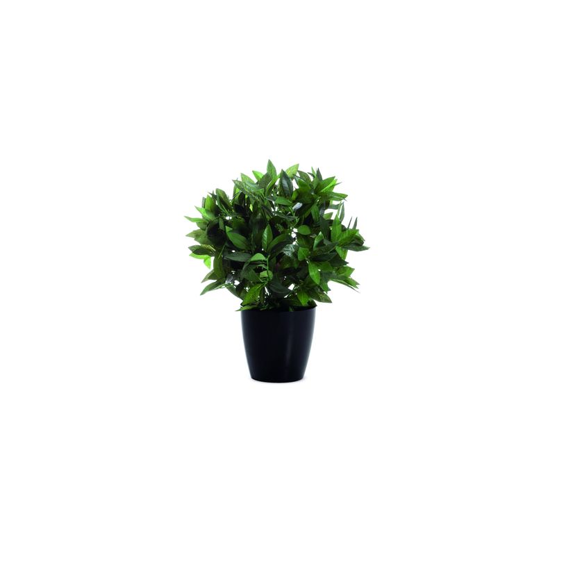 3660141290097-Plante artificielle laurier - hauteur 50 cm-P_79441267_1-0