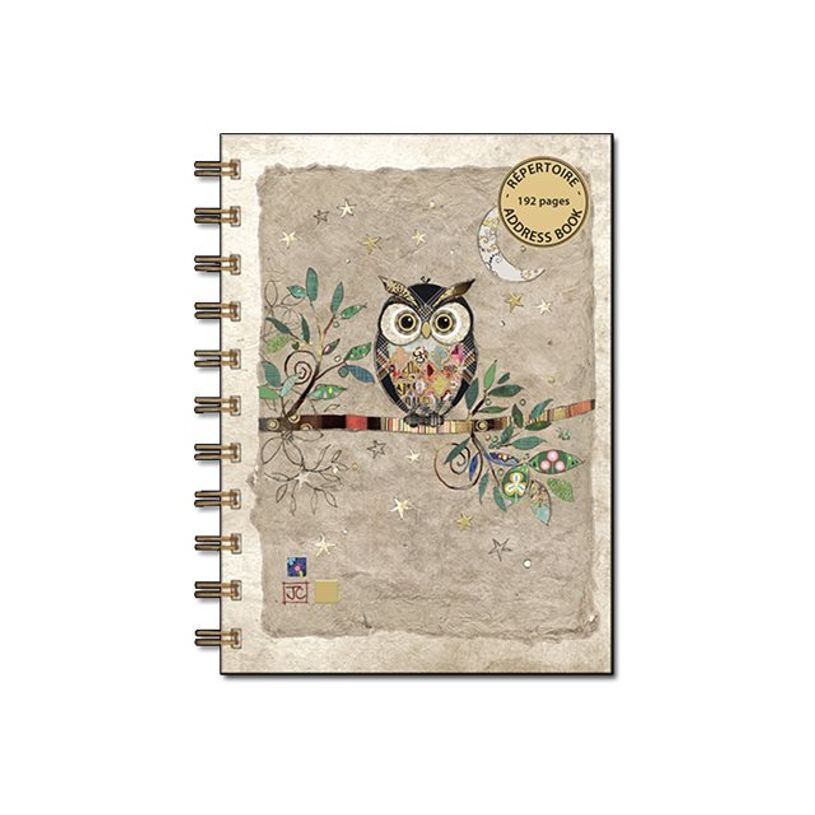 3700572731551-Kiub Bug Art - Répertoire A6 - Chouette sur branche-P_79442287_1-0