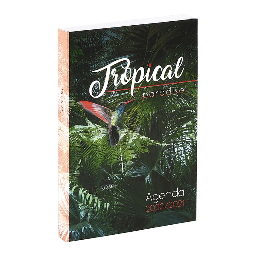3135257168436-Agenda Tropical - 1 jour par page - 12 x 17 cm - Viquel-P_79442836_3-1