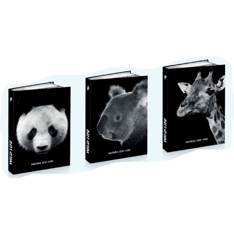 3661507015118-Agenda rembordé Animals Wild - 1 jour par page - 12x17 cm - 3 décors assortis - Kid'Abord--0