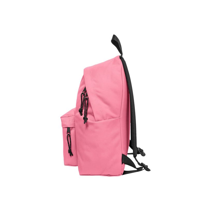 3663991047729-EASTPAK Padded Pak'r - Sac à dos - 40 cm - Starfish pink-P_79443971_9-6