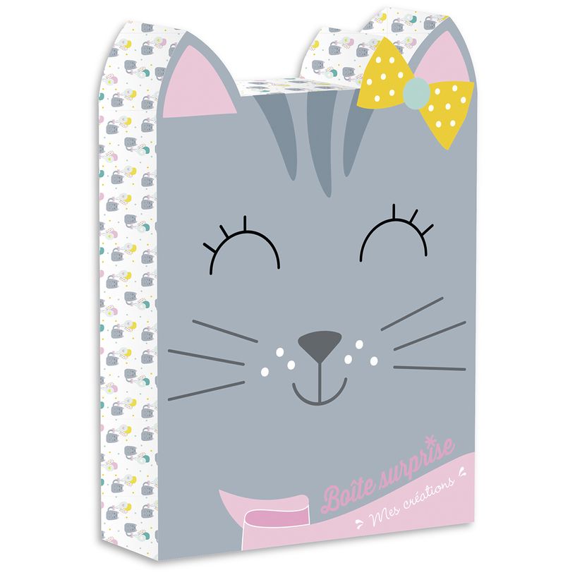 9782324024153-Boîte surprise - chaton-P_79444442_1-0