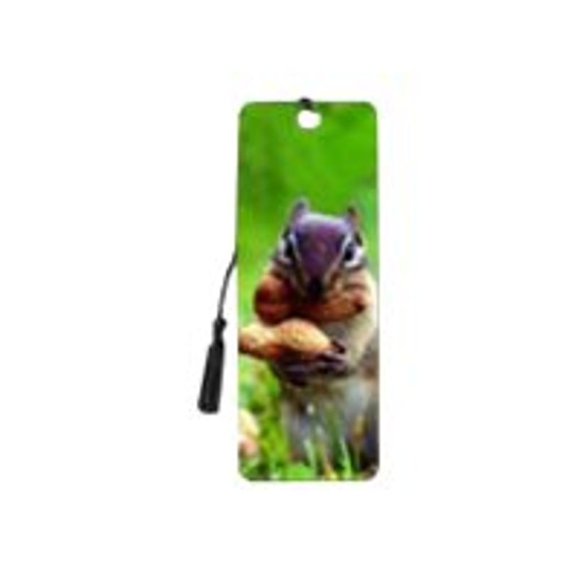 0634438620730-Catwalk Artgame 3D - Marque pages écureuil-P_79444511_1-0