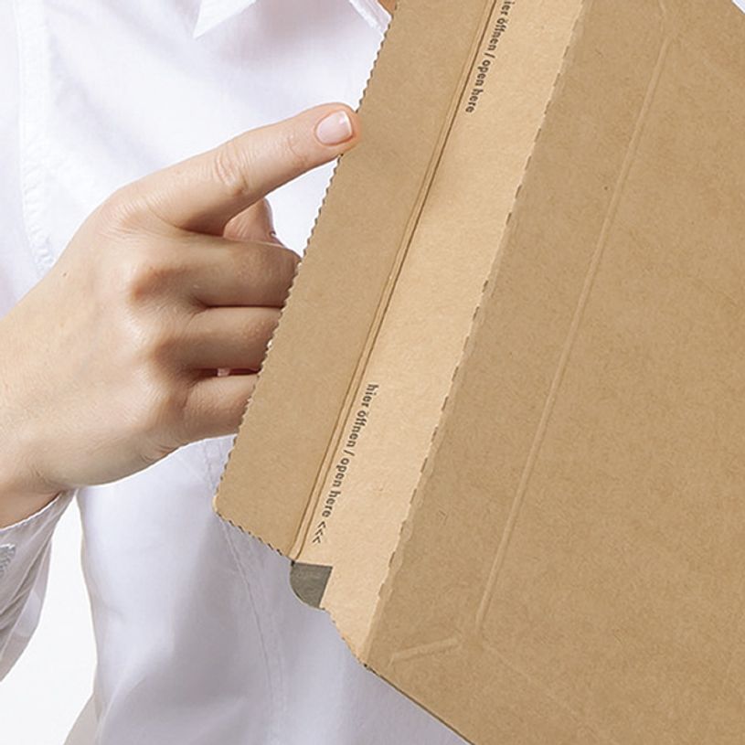 4033657100508-Pochette d'expédition adhésive - 25 cm x 34 cm - kraft - Logistipack-P_79444519_3-2