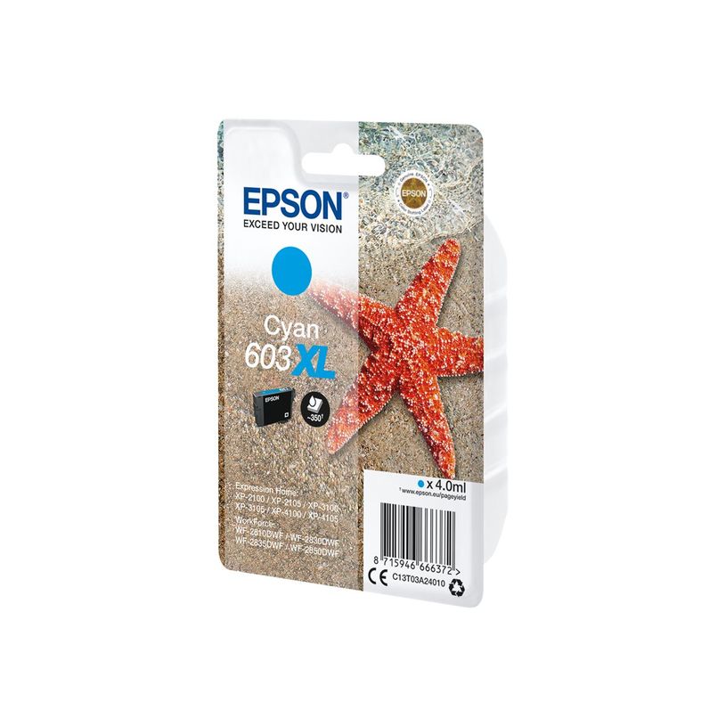 8715946666372-Epson 603XL Etoile de mer - cyan - cartouche d'encre originale-P_79444521_4-3