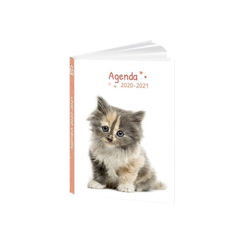 3592930017267-Agenda Chaton - 1 jour par page - 12 x 17 cm - Bouchut-P_79444726_3-3