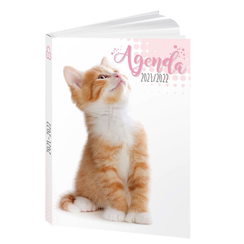 3592930017267-Agenda Chaton - 1 jour par page - 12 x 17 cm - Bouchut-P_79444726_4-0