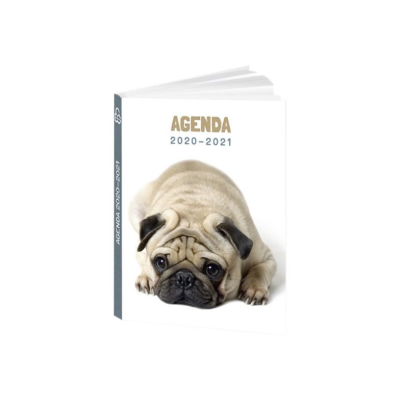 3592930015485-Agenda Chien - 1 jour par page - 12 x 17 cm - Bouchut-P_79444727_3-3