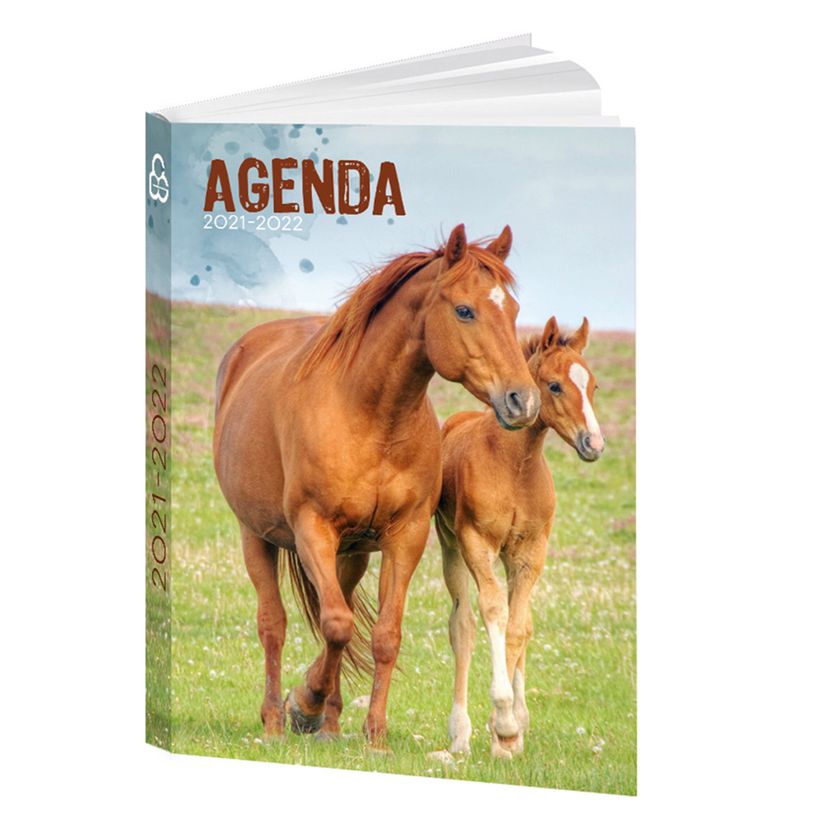 3592930015492-Agenda Cheval - 1 jour par page - 12 x 17 cm - Bouchut-P_79444728_3-0