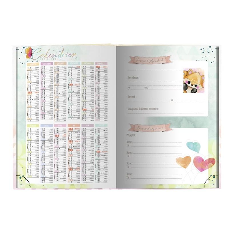 3592930017434-Bouchut - Agenda Dino vert - 1 jour par page - 12,5 x 17,5 cm-P_79444740_1-1