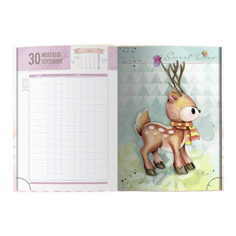3592930017434-Bouchut - Agenda Dino vert - 1 jour par page - 12,5 x 17,5 cm-P_79444740_2-2
