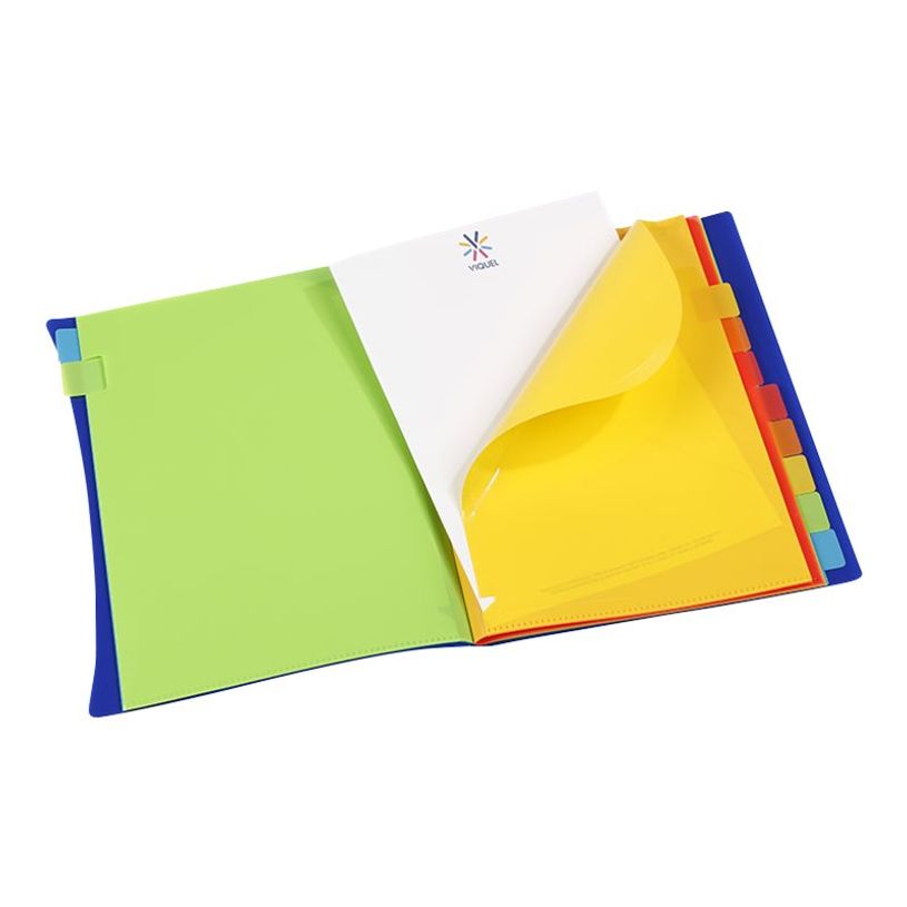 3135254907311-Viquel Happy Fluo - Trieur porte vues 20 onglets-P_79445253_2-1