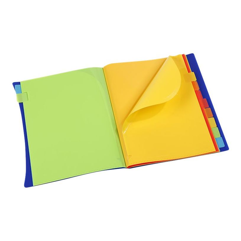 3135254907311-Viquel Happy Fluo - Trieur porte vues 20 onglets-P_79445253_3-2