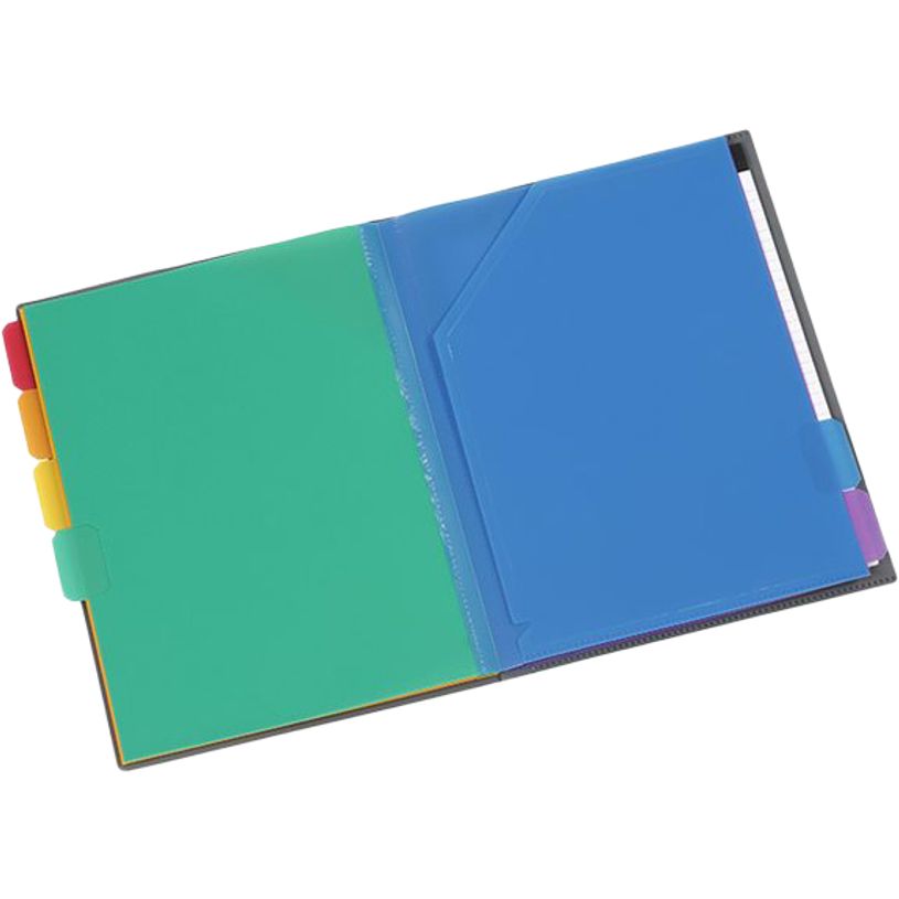 3135254970179-Viquel Rainbow Touch - Trieur à soufflets 6 positions-P_79445255_5-3