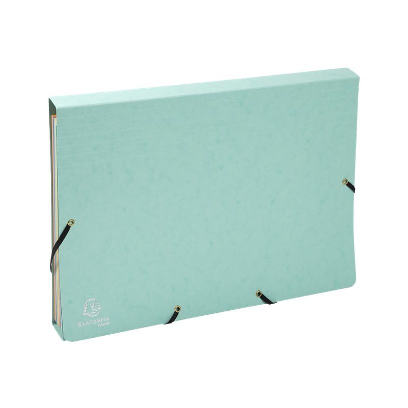 3130630585602-Exacompta Aquarel - Trieur 12 positions - disponible dans différentes couleurs-P_79445327_12-11